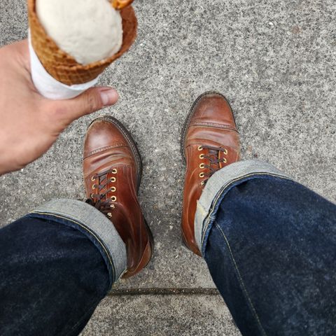 White Kloud Blucher.87 in Leder Ogawa Coffee Shell Cordovan