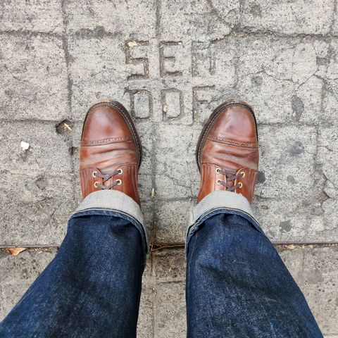 White Kloud Blucher.87 in Leder Ogawa Coffee Shell Cordovan