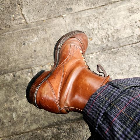 White Kloud Blucher.87 in Leder Ogawa Coffee Shell Cordovan