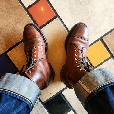 White Kloud Blucher.87 in Leder Ogawa Coffee Shell Cordovan