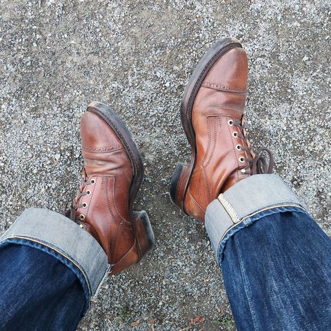 White Kloud Blucher.87 in Leder Ogawa Coffee Shell Cordovan