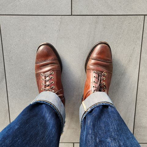 White Kloud Blucher.87 in Leder Ogawa Coffee Shell Cordovan