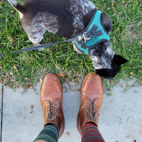 Flame Panda Service Boot in Horween Bourbon Shell Cordovan