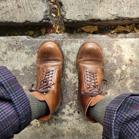 Julian Boots Madison in Horween Bourbon Shell Cordovan