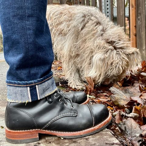 Wolverine 1000 Mile Cap-Toe Boot in Horween Black Chromexcel