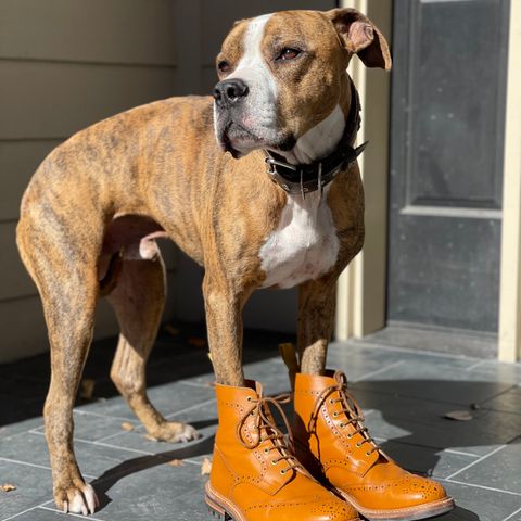 Tricker's Stow Country Boot in Acorn Antique