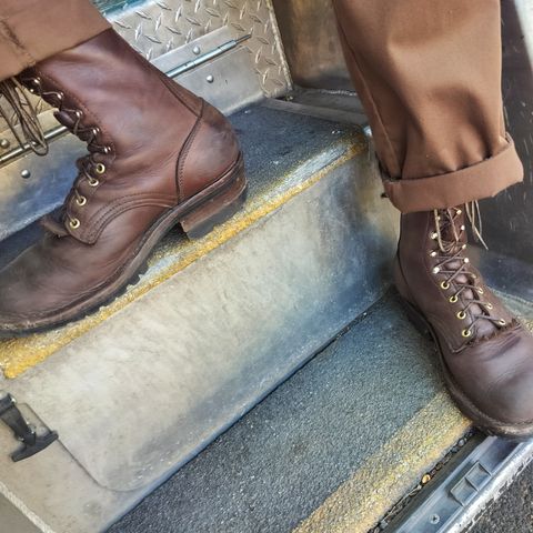 Frank's The Patriot in Seidel Walnut Oil Tan