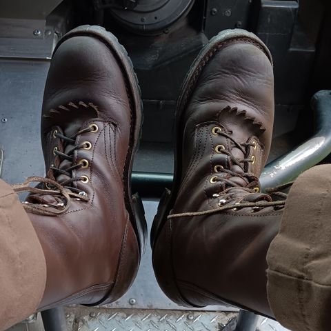 Frank's The Patriot in Seidel Walnut Oil Tan