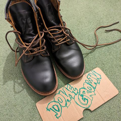 Red Wing Beckman Flatbox in S.B. Foot Black Klondike