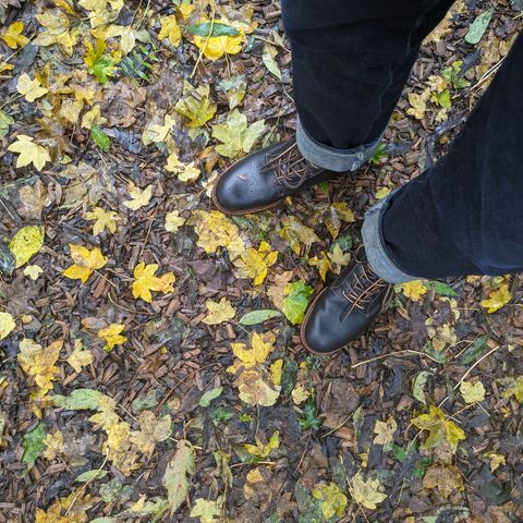 Red Wing Beckman Flatbox in S.B. Foot Black Klondike