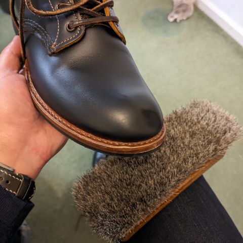 Red Wing Beckman Flatbox in S.B. Foot Black Klondike