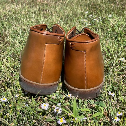 Crown Northampton Everdon in Horween Bourbon Shell Cordovan