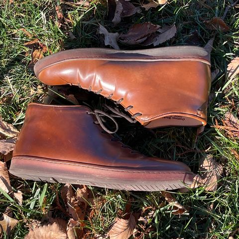 Crown Northampton Everdon in Horween Bourbon Shell Cordovan