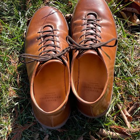 Crown Northampton Everdon in Horween Bourbon Shell Cordovan