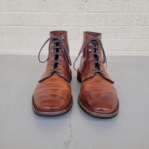 Allen Edmonds Higgins Mill in Horween Marbled Garnet Shell Cordovan