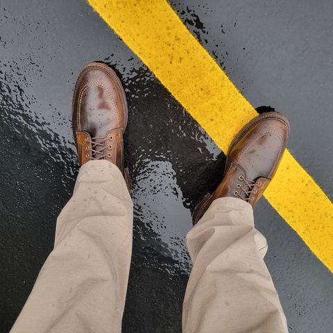 Allen Edmonds Freeport in Horween Dark Cognac Shell Cordovan