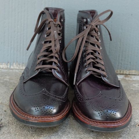 Alden Wingtip Boot in Horween Color 8 Shell Cordovan