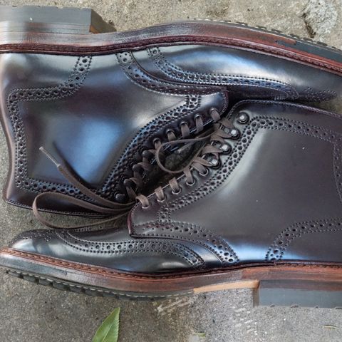 Alden Wingtip Boot in Horween Color 8 Shell Cordovan
