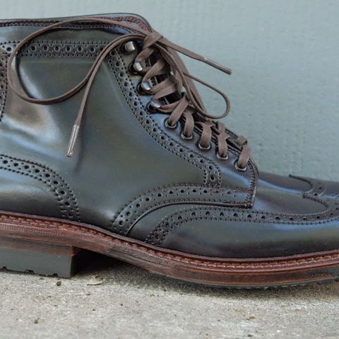 Alden Wingtip Boot in Horween Color 8 Shell Cordovan