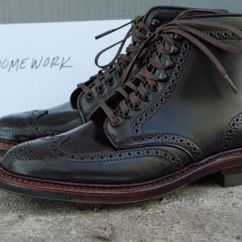 Alden Wingtip Boot in Horween Color 8 Shell Cordovan