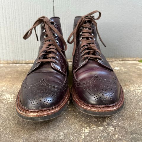 Alden Wingtip Boot in Horween Color 8 Shell Cordovan