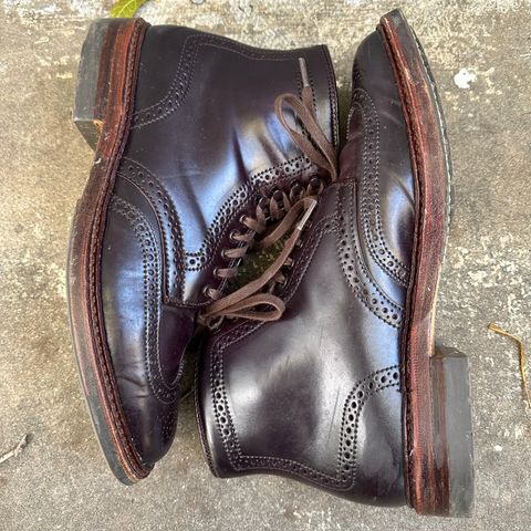 Alden Wingtip Boot in Horween Color 8 Shell Cordovan