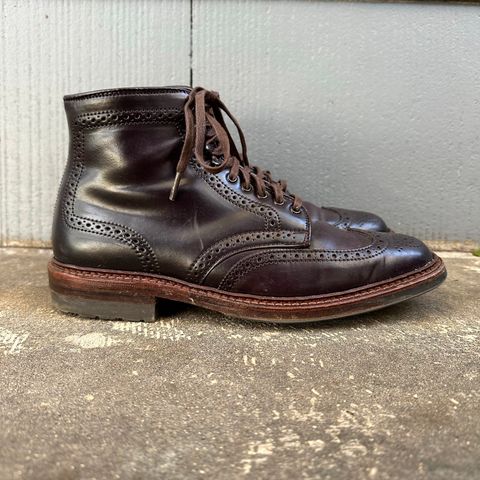 Alden Wingtip Boot in Horween Color 8 Shell Cordovan