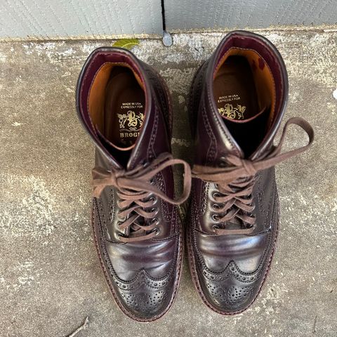 Alden Wingtip Boot in Horween Color 8 Shell Cordovan