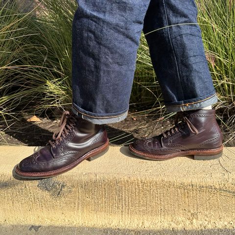 Alden Wingtip Boot in Horween Color 8 Shell Cordovan