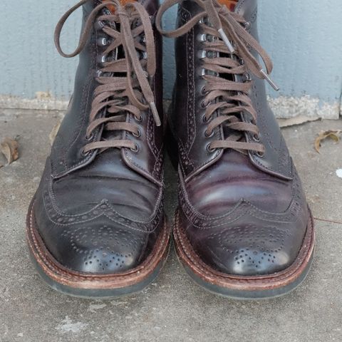 Alden Wingtip Boot in Horween Color 8 Shell Cordovan