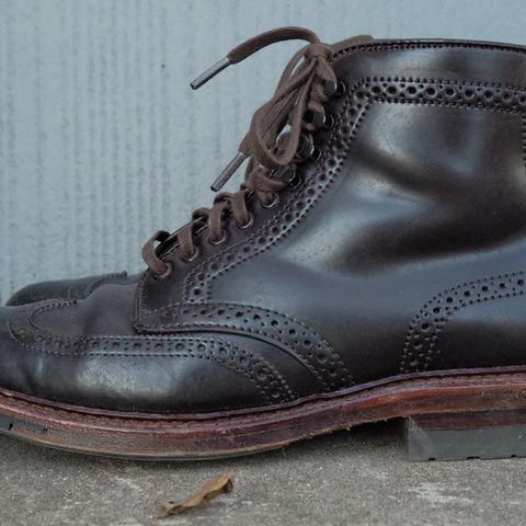 Alden Wingtip Boot in Horween Color 8 Shell Cordovan