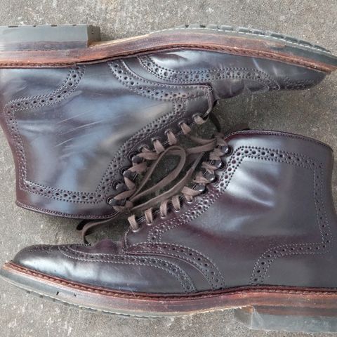 Alden Wingtip Boot in Horween Color 8 Shell Cordovan