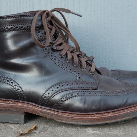 Alden Wingtip Boot in Horween Color 8 Shell Cordovan