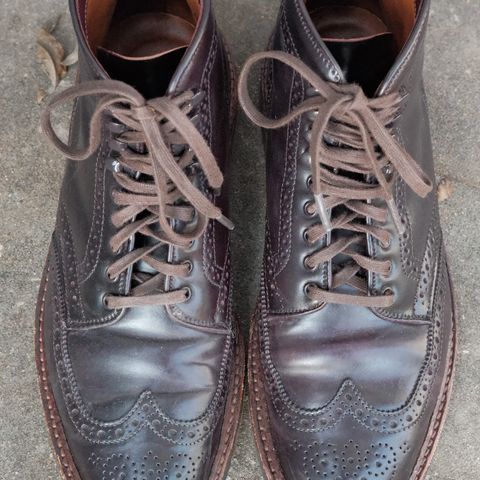 Alden Wingtip Boot in Horween Color 8 Shell Cordovan
