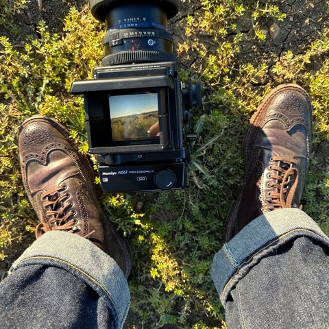 Alden Wingtip Boot in Horween Color 8 Shell Cordovan
