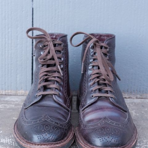 Alden Wingtip Boot in Horween Color 8 Shell Cordovan