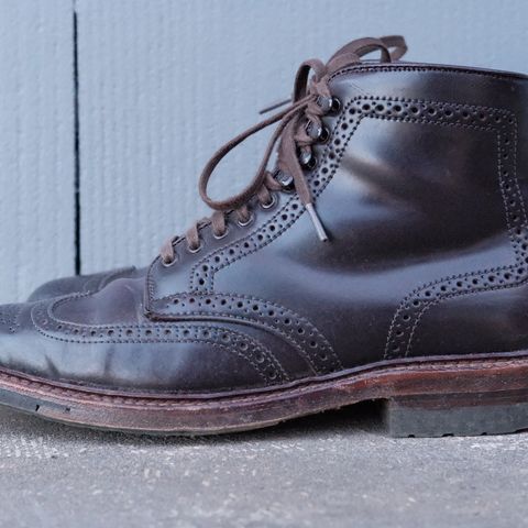 Alden Wingtip Boot in Horween Color 8 Shell Cordovan