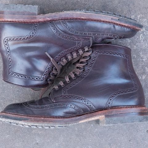 Alden Wingtip Boot in Horween Color 8 Shell Cordovan