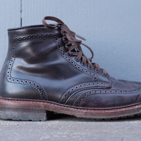 Alden Wingtip Boot in Horween Color 8 Shell Cordovan