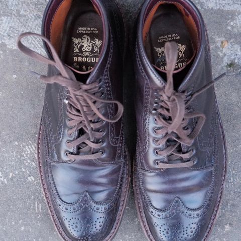 Alden Wingtip Boot in Horween Color 8 Shell Cordovan