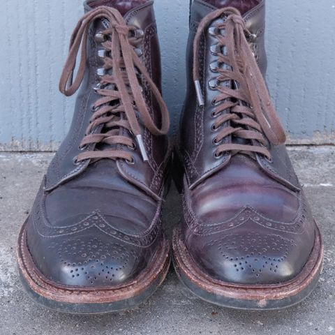 Alden Wingtip Boot in Horween Color 8 Shell Cordovan