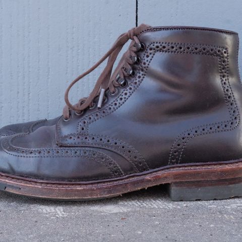 Alden Wingtip Boot in Horween Color 8 Shell Cordovan