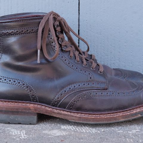 Alden Wingtip Boot in Horween Color 8 Shell Cordovan