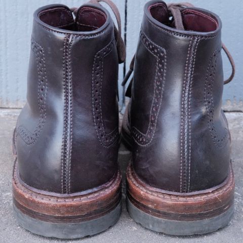 Alden Wingtip Boot in Horween Color 8 Shell Cordovan