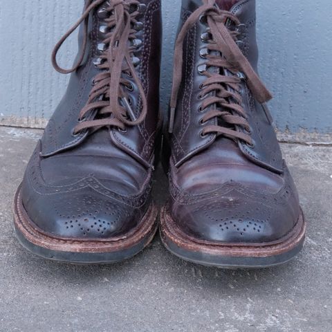 Alden Wingtip Boot in Horween Color 8 Shell Cordovan