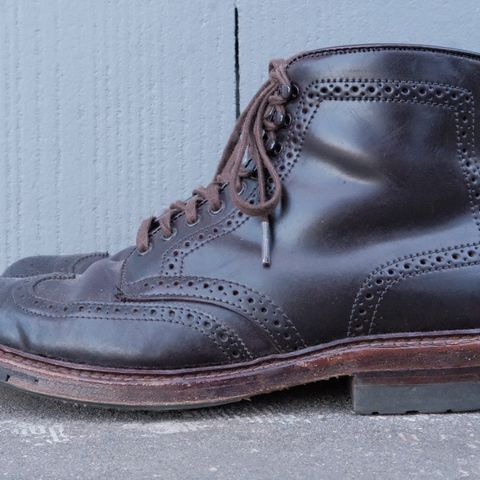 Alden Wingtip Boot in Horween Color 8 Shell Cordovan
