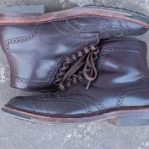 Alden Wingtip Boot in Horween Color 8 Shell Cordovan