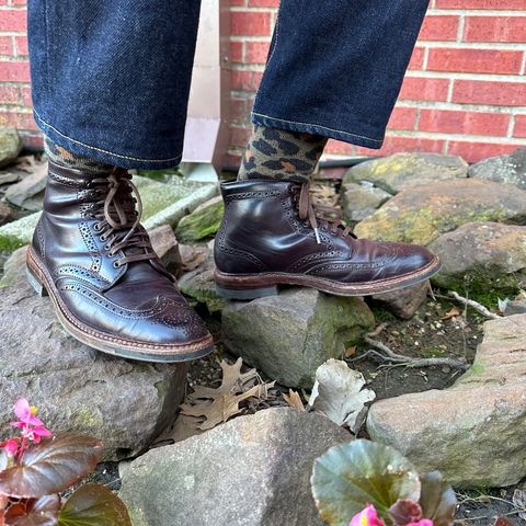 Alden Wingtip Boot in Horween Color 8 Shell Cordovan
