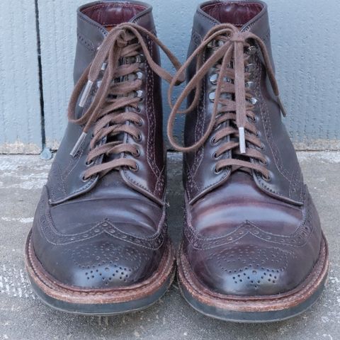 Alden Wingtip Boot in Horween Color 8 Shell Cordovan