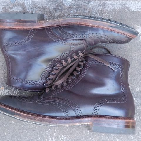 Alden Wingtip Boot in Horween Color 8 Shell Cordovan